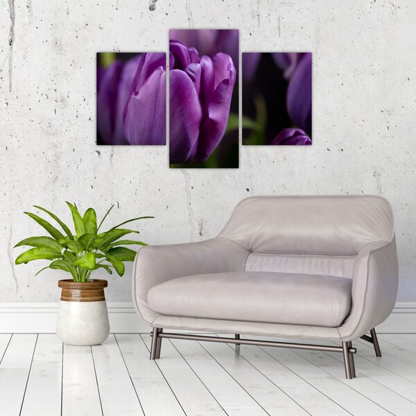Slika cvjetova tulipana (90x60 cm)