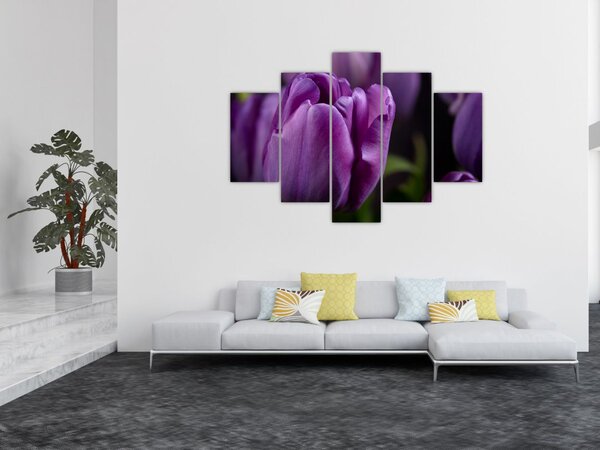 Slika cvjetova tulipana (150x105 cm)