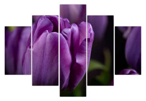 Slika cvjetova tulipana (150x105 cm)