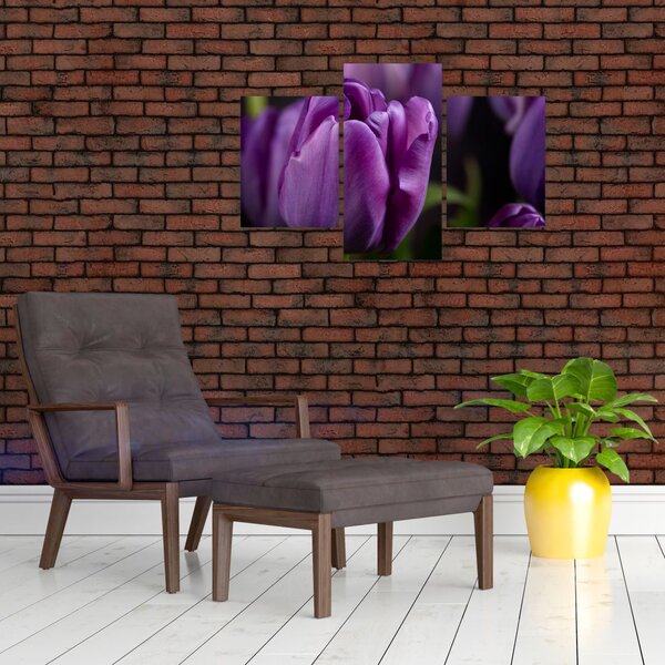 Slika cvjetova tulipana (90x60 cm)