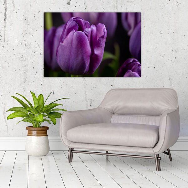 Slika cvjetova tulipana (90x60 cm)