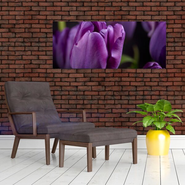 Slika cvjetova tulipana (120x50 cm)