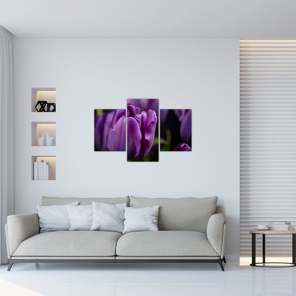 Slika cvjetova tulipana (90x60 cm)