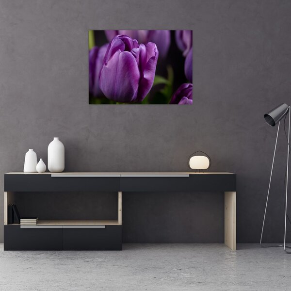 Slika cvjetova tulipana (70x50 cm)