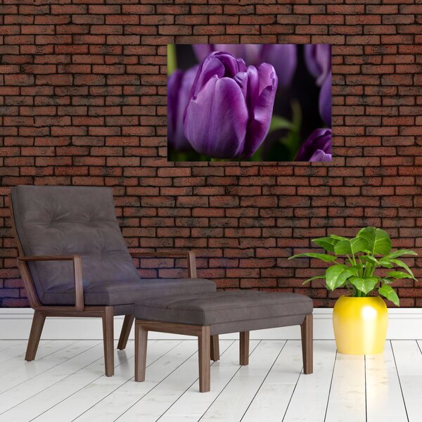 Slika cvjetova tulipana (70x50 cm)