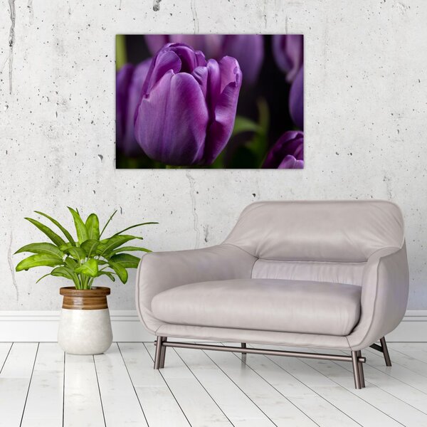 Slika cvjetova tulipana (70x50 cm)