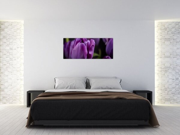 Slika cvjetova tulipana (120x50 cm)