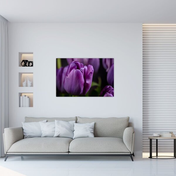 Slika cvjetova tulipana (90x60 cm)