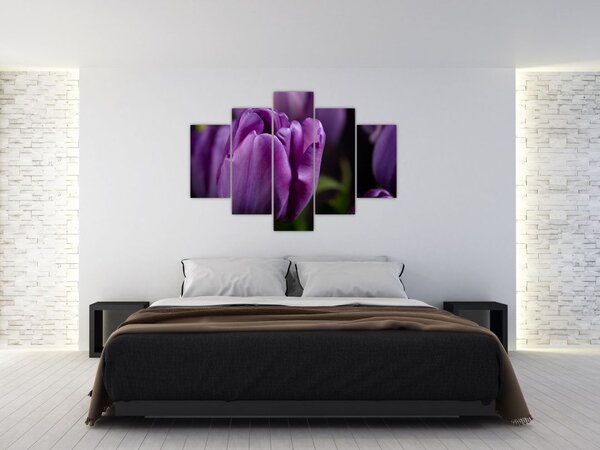 Slika cvjetova tulipana (150x105 cm)