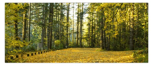 Slika - šuma u jesen (120x50 cm)