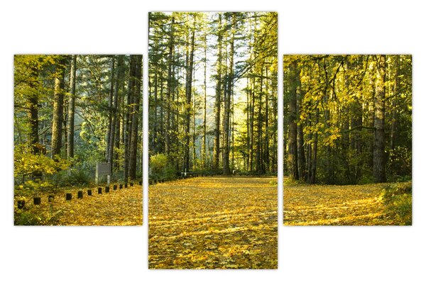 Slika - šuma u jesen (90x60 cm)