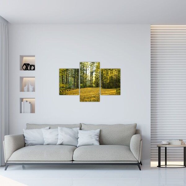 Slika - šuma u jesen (90x60 cm)