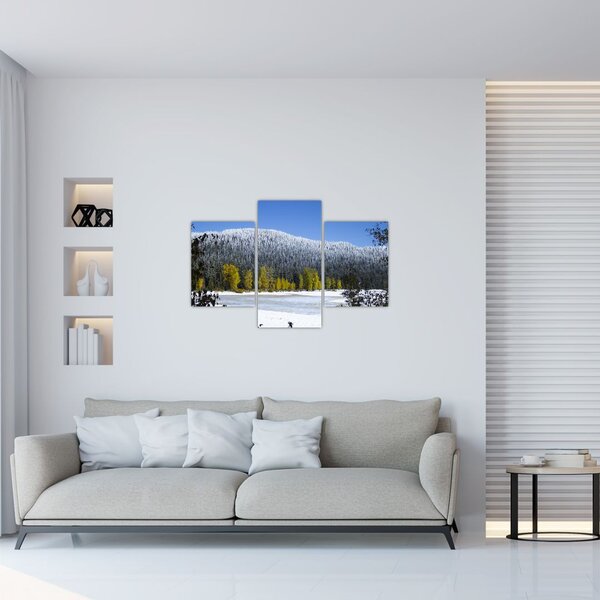 Slika - snježno gorje zimi (90x60 cm)