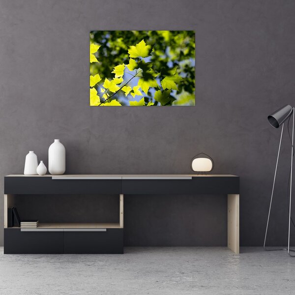 Slika - javorovo lišće (70x50 cm)