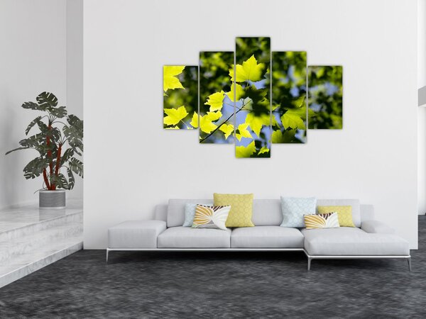 Slika - javorovo lišće (150x105 cm)