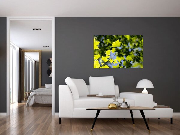 Slika - javorovo lišće (90x60 cm)