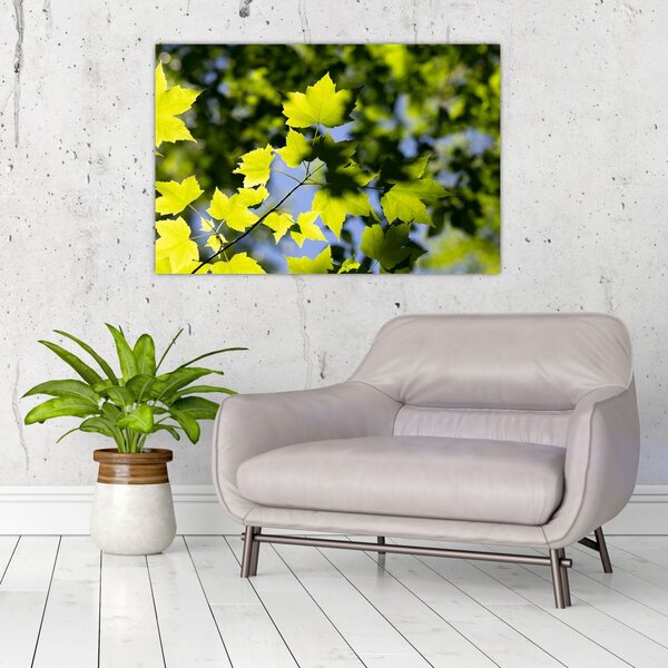 Slika - javorovo lišće (90x60 cm)