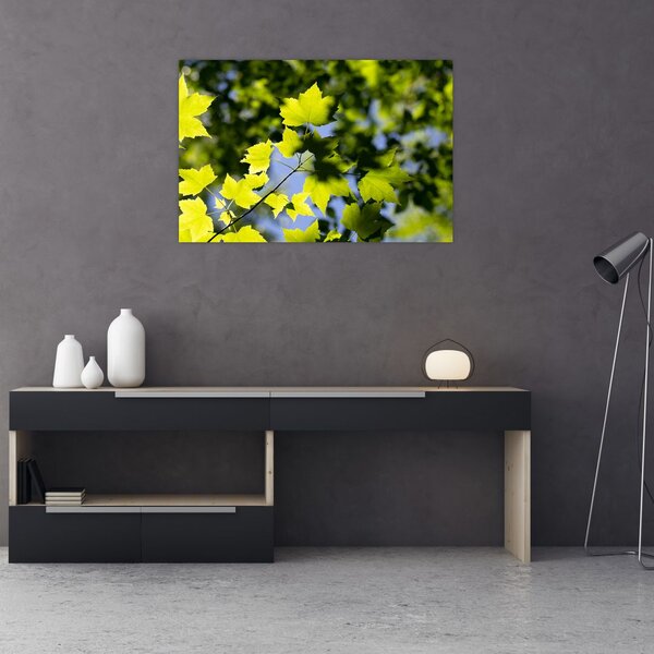 Slika - javorovo lišće (90x60 cm)
