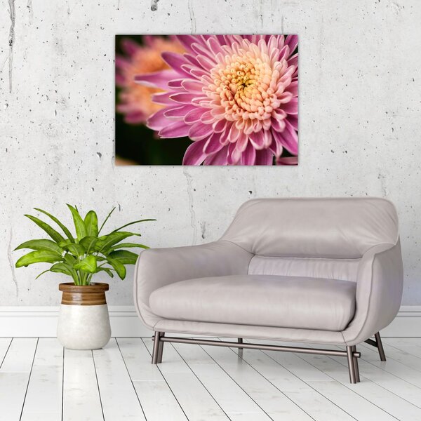 Slika cvijeta izbliza (70x50 cm)