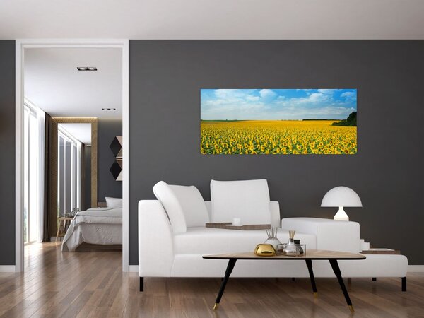 Slika - polje suncokreta (120x50 cm)