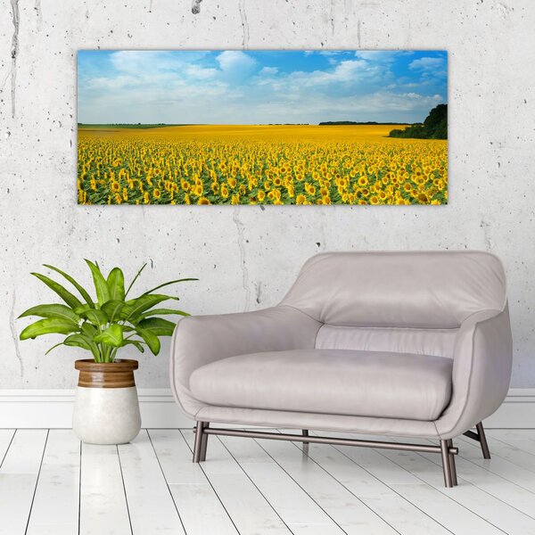 Slika - polje suncokreta (120x50 cm)