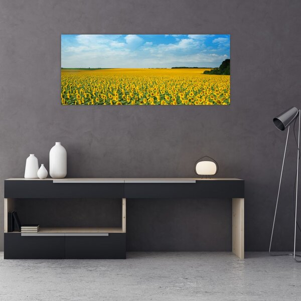 Slika - polje suncokreta (120x50 cm)