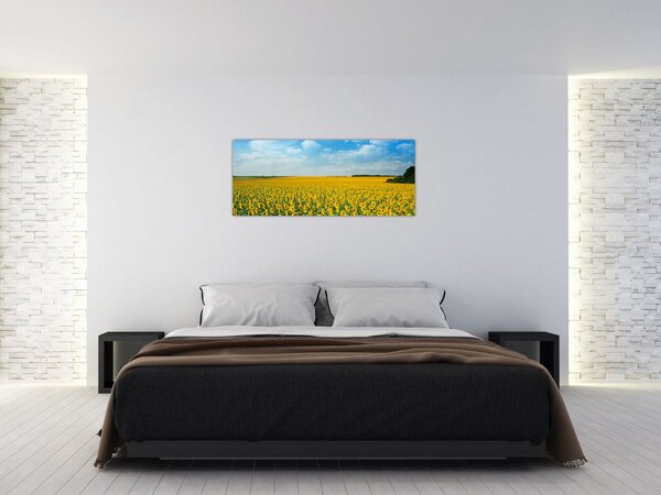 Slika - polje suncokreta (120x50 cm)