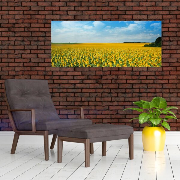 Slika - polje suncokreta (120x50 cm)