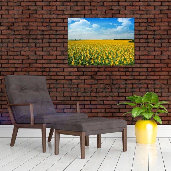 Slika - polje suncokreta (70x50 cm)