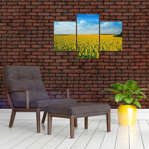 Slika - polje suncokreta (90x60 cm)