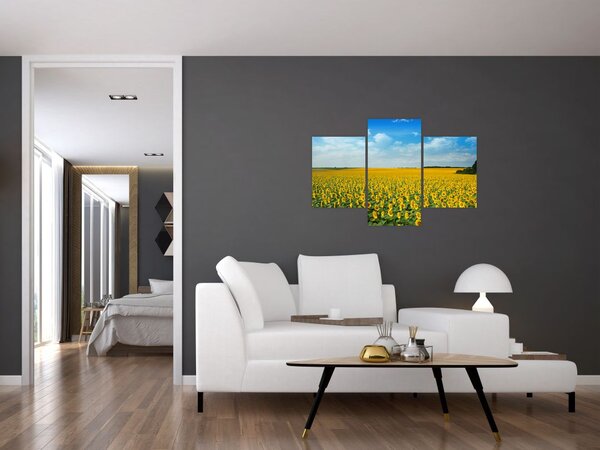 Slika - polje suncokreta (90x60 cm)