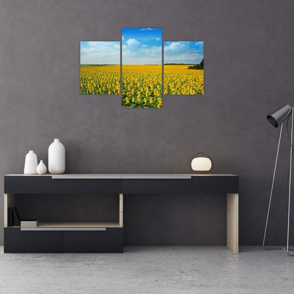 Slika - polje suncokreta (90x60 cm)
