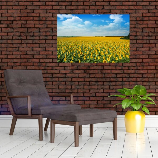 Slika - polje suncokreta (90x60 cm)
