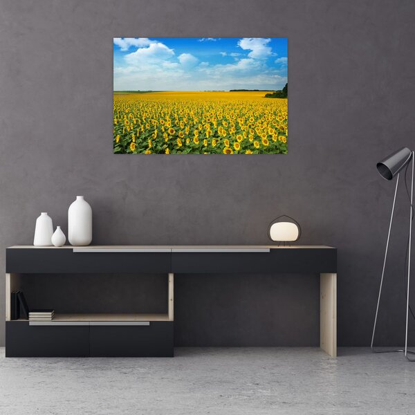 Slika - polje suncokreta (90x60 cm)