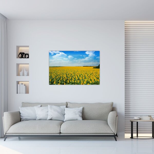 Slika - polje suncokreta (90x60 cm)