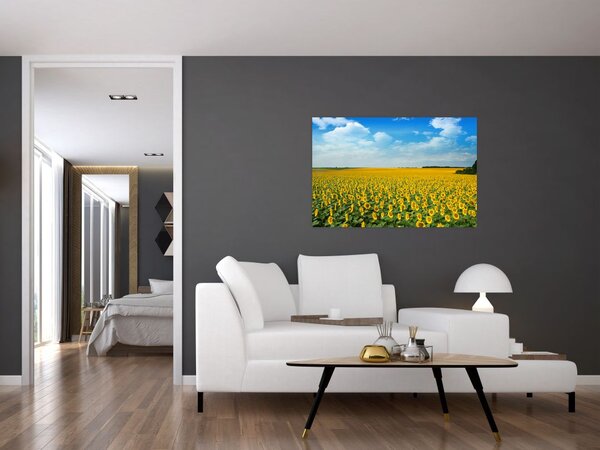 Slika - polje suncokreta (90x60 cm)