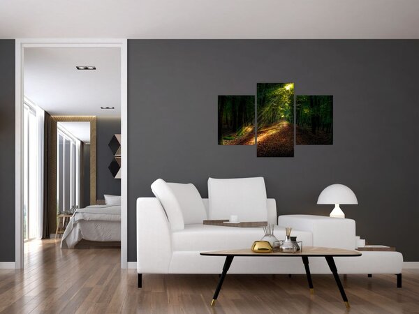 Slika šumskog puta (90x60 cm)