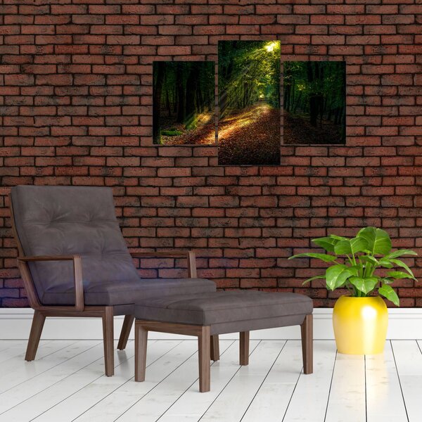 Slika šumskog puta (90x60 cm)
