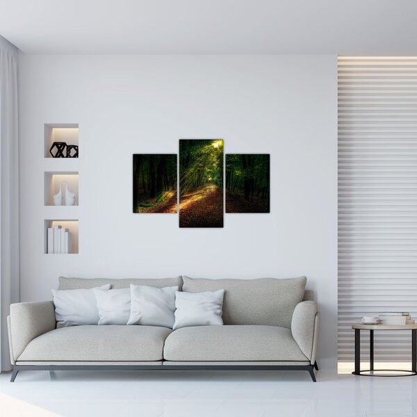 Slika šumskog puta (90x60 cm)