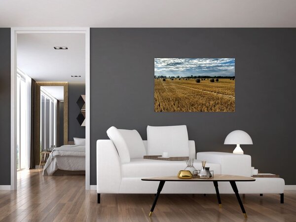 Slika ubranog polja žitarica (90x60 cm)
