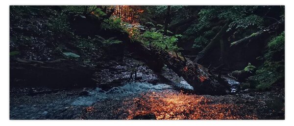 Slika planinskog potoka (120x50 cm)