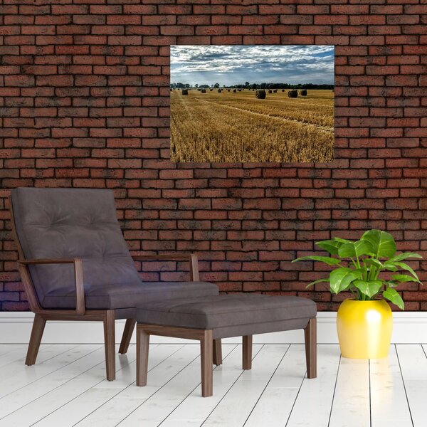 Slika ubranog polja žitarica (70x50 cm)