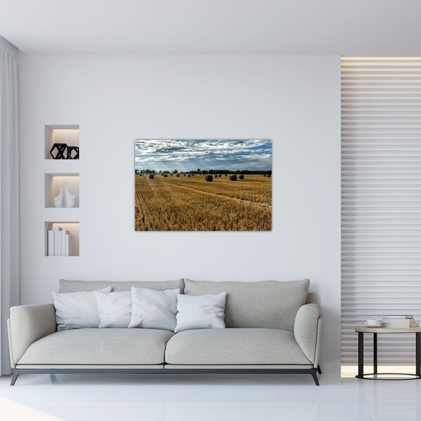 Slika ubranog polja žitarica (90x60 cm)