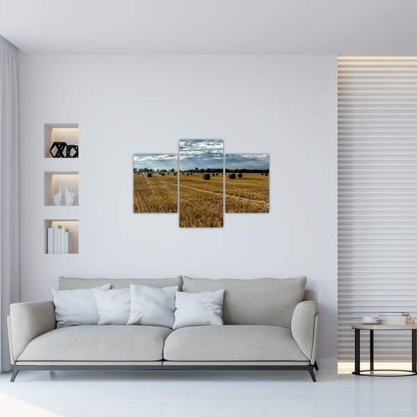 Slika ubranog polja žitarica (90x60 cm)