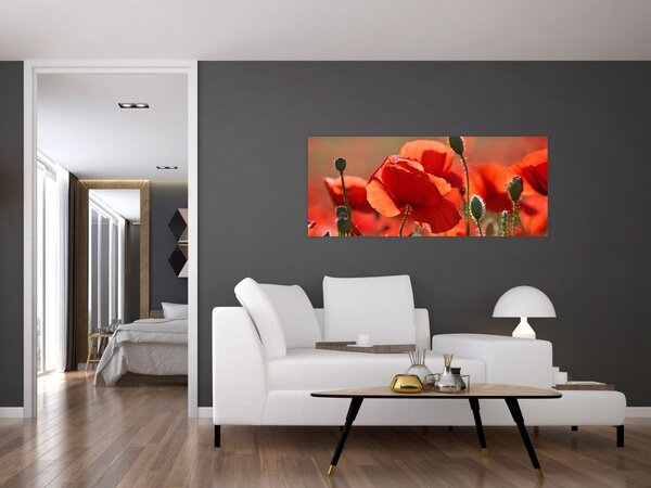 Slika maka (120x50 cm)