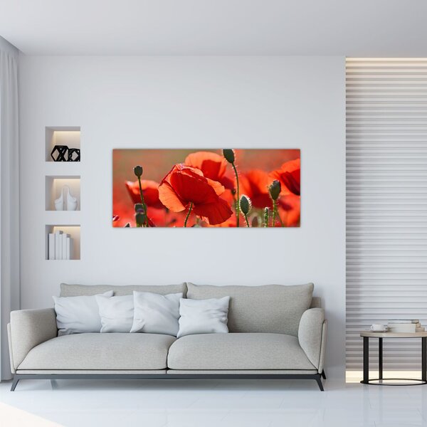 Slika maka (120x50 cm)