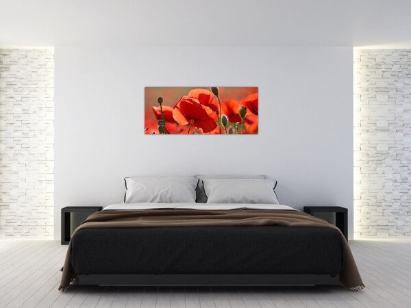 Slika maka (120x50 cm)