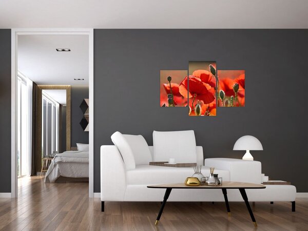 Slika maka (90x60 cm)