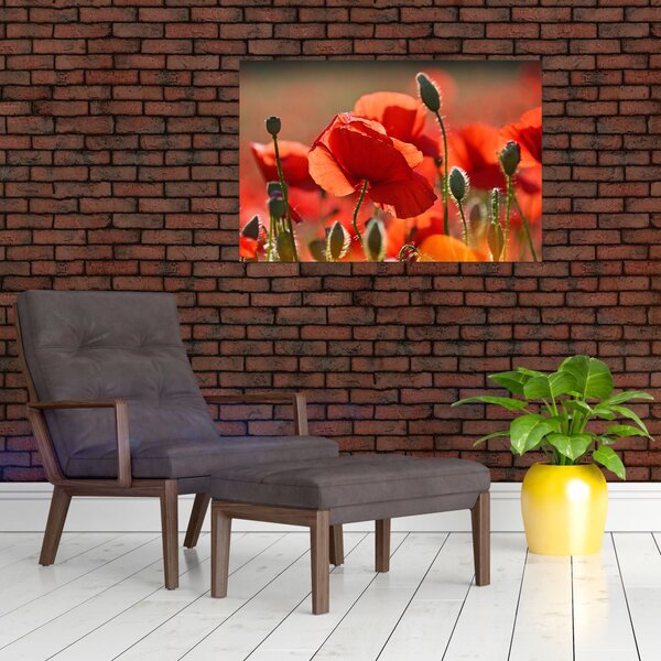 Slika maka (90x60 cm)