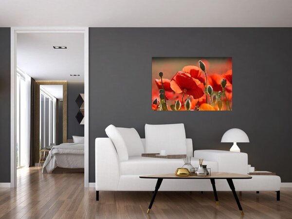 Slika maka (90x60 cm)